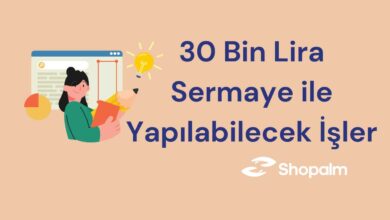 30 Bin Lira Sermaye ile Yapılabilecek İşler