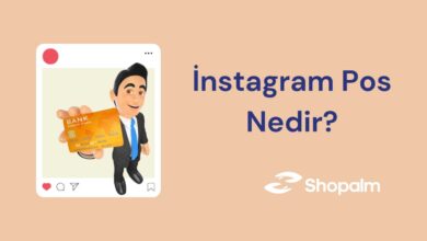 Instagram Post Ne Demek?